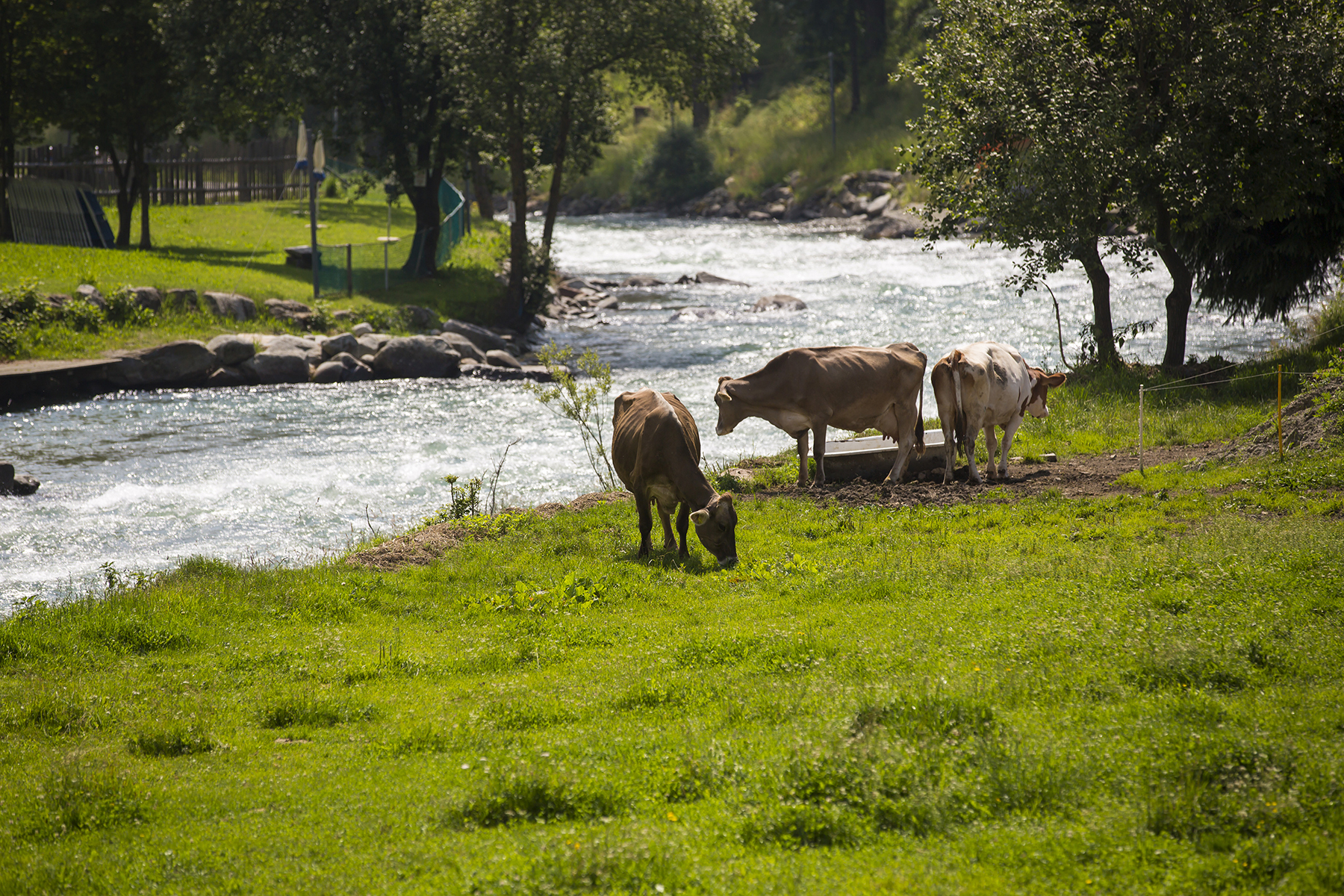 Val di Rabbi Estate Natura Vacanze in Trentino