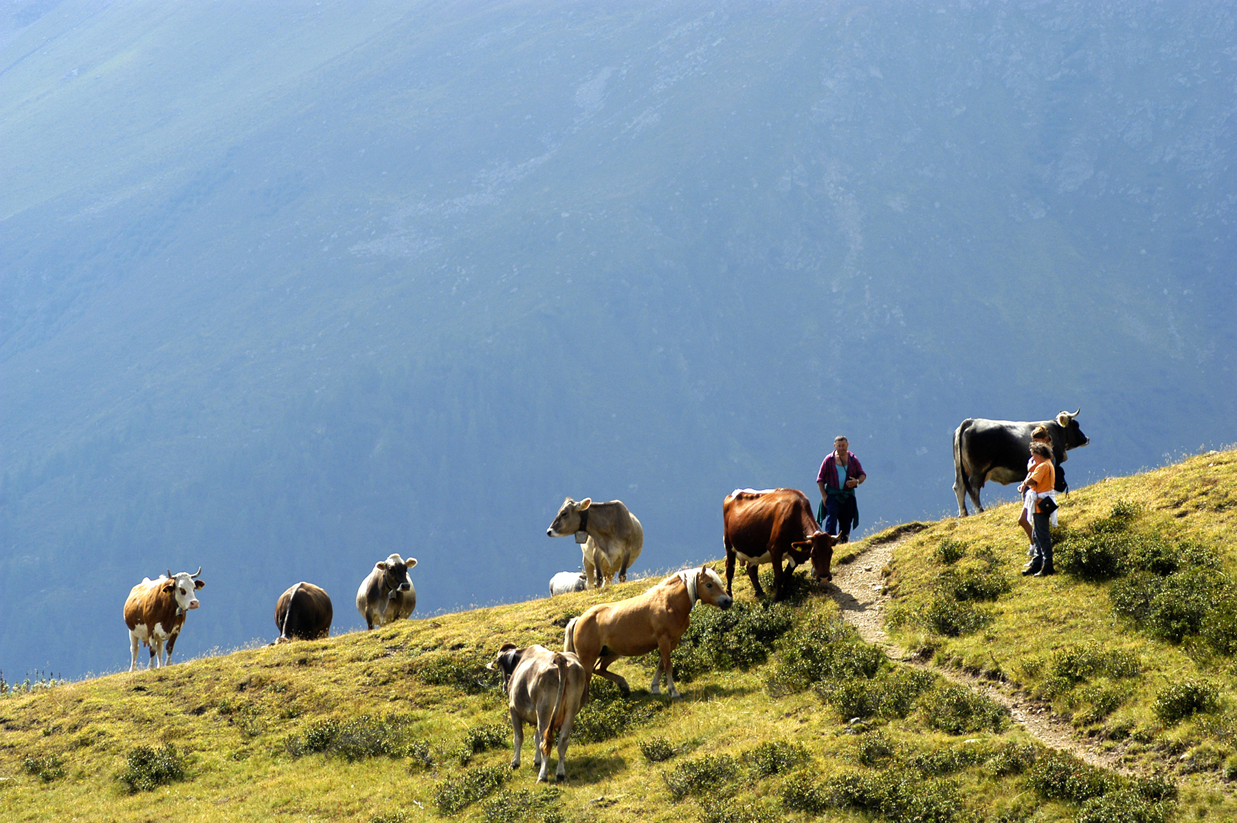 Val di Rabbi Natura Estate Vacanze in Trentino