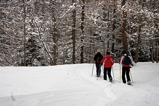 Prezzi Inverno