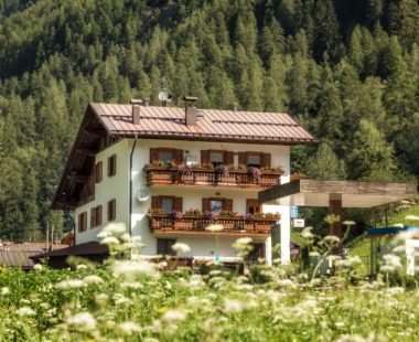 B&B