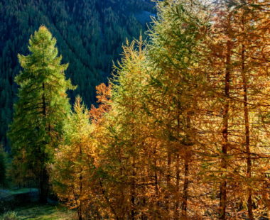 Val di Rabbi
